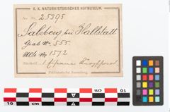 Etikett zu Eisenantennendolch (NHMW-PRAE-025395)